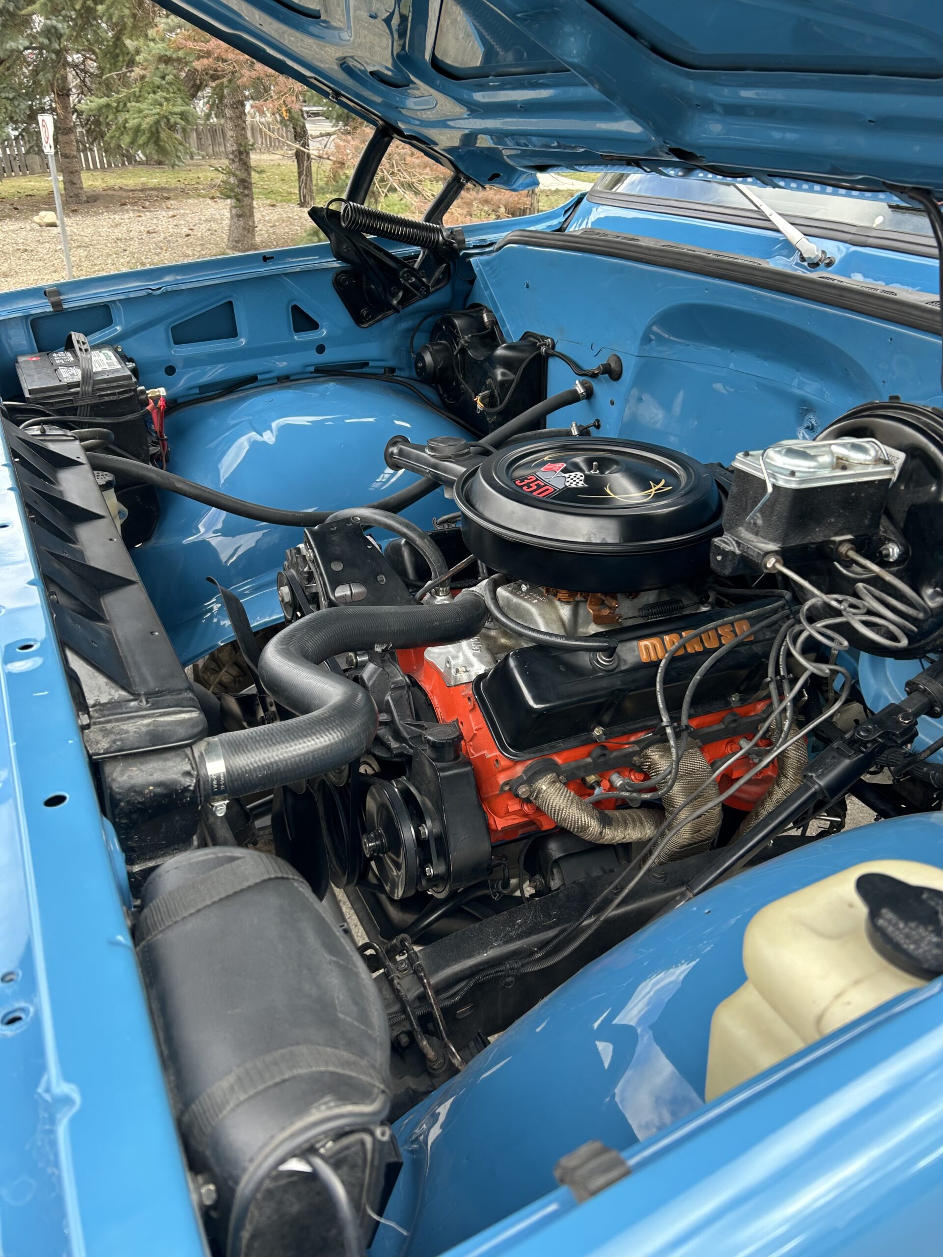 Photo 2024-04-24, 6 00 28 PM